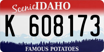 ID license plate K608173