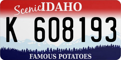 ID license plate K608193
