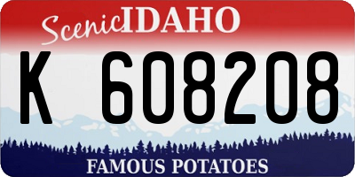 ID license plate K608208