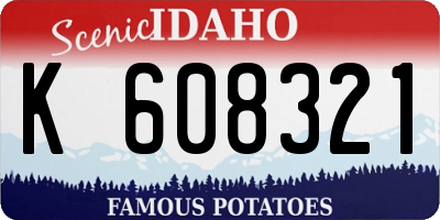 ID license plate K608321