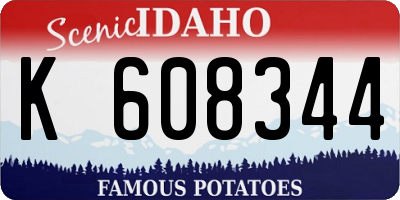 ID license plate K608344