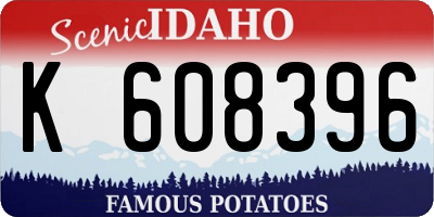 ID license plate K608396