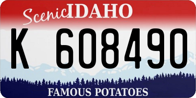 ID license plate K608490