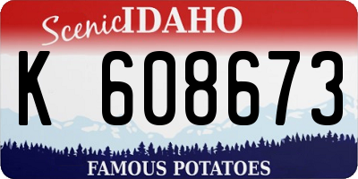 ID license plate K608673