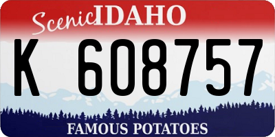 ID license plate K608757