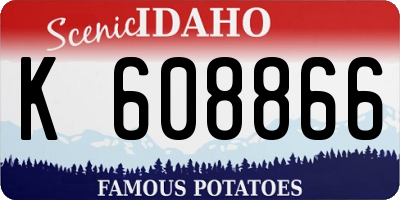 ID license plate K608866