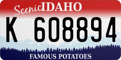 ID license plate K608894