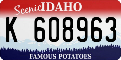ID license plate K608963