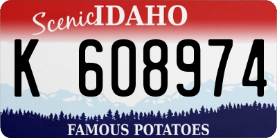 ID license plate K608974