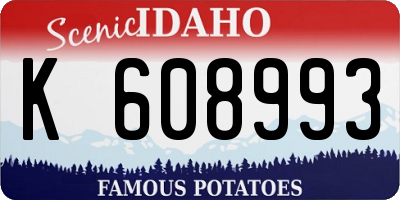 ID license plate K608993
