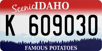 ID license plate K609030