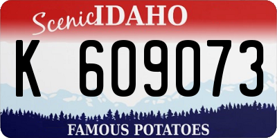 ID license plate K609073
