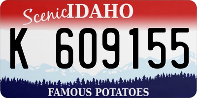 ID license plate K609155