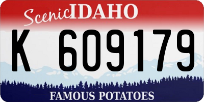 ID license plate K609179