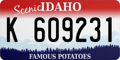 ID license plate K609231