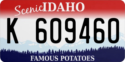 ID license plate K609460