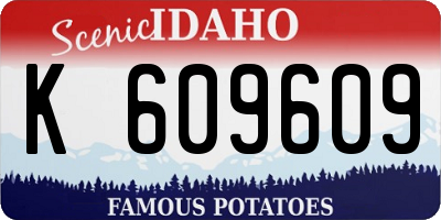 ID license plate K609609