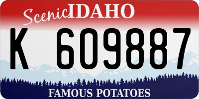 ID license plate K609887