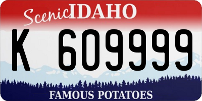 ID license plate K609999