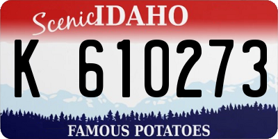 ID license plate K610273