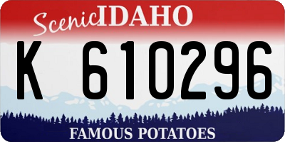 ID license plate K610296