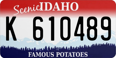 ID license plate K610489
