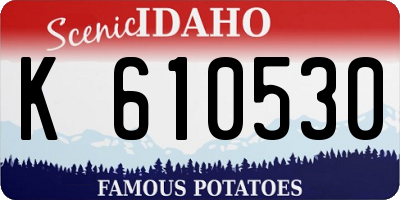 ID license plate K610530