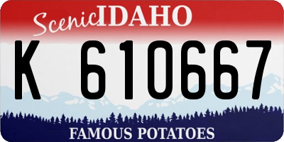 ID license plate K610667