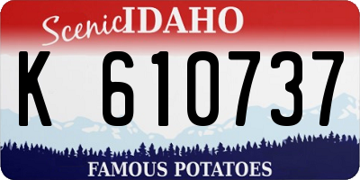 ID license plate K610737