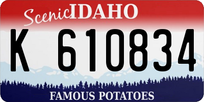 ID license plate K610834