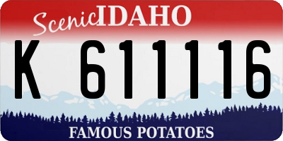 ID license plate K611116