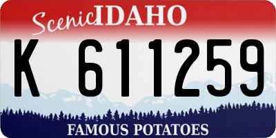 ID license plate K611259