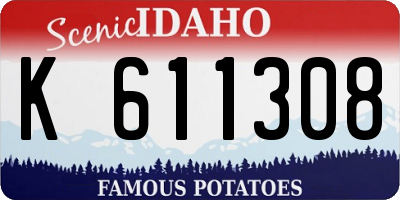 ID license plate K611308