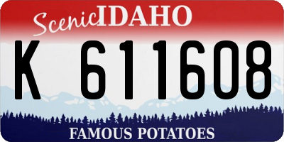 ID license plate K611608