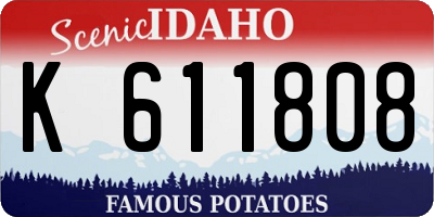 ID license plate K611808
