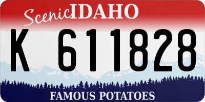 ID license plate K611828