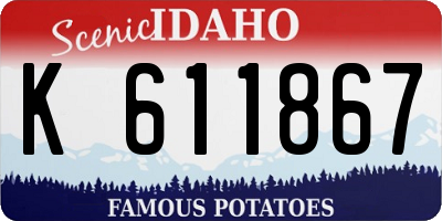 ID license plate K611867