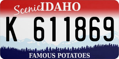 ID license plate K611869