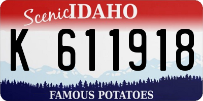ID license plate K611918
