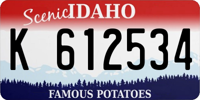 ID license plate K612534