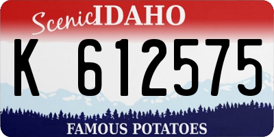 ID license plate K612575