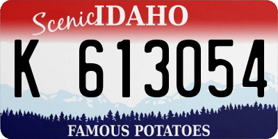 ID license plate K613054