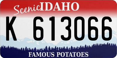 ID license plate K613066