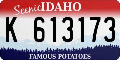 ID license plate K613173