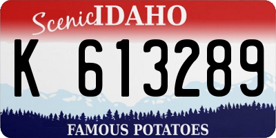 ID license plate K613289