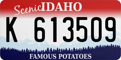 ID license plate K613509