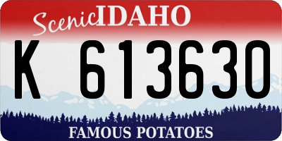 ID license plate K613630