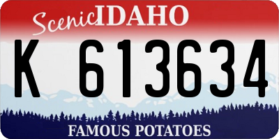 ID license plate K613634