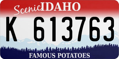 ID license plate K613763