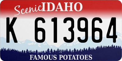 ID license plate K613964